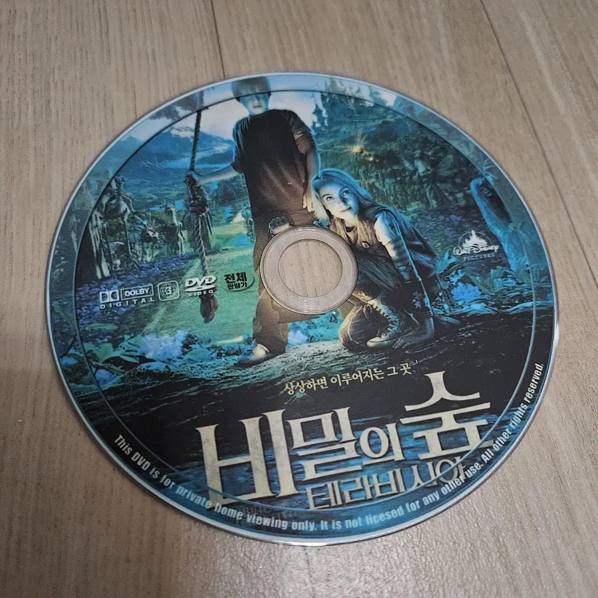 영화 비밀의숲 테라비시아 DVD